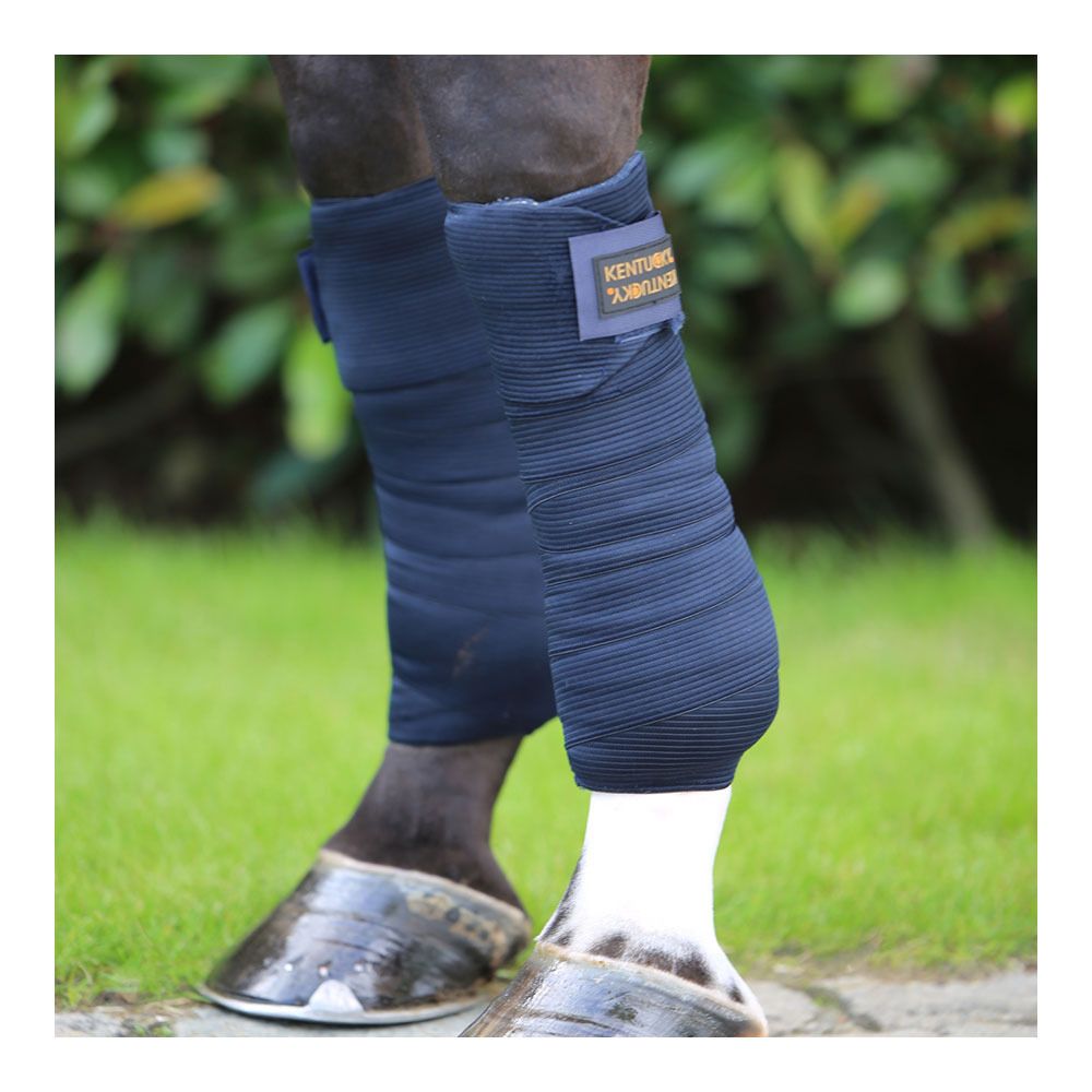 Kentucky REPELLENT - Bandes de repos x4 bleu marine