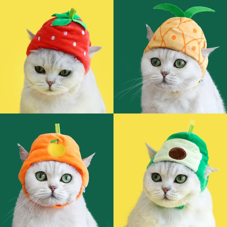 2 nachten - Fruit Pet-hoed met kauwspeeltje (verschillende ontwerpen)