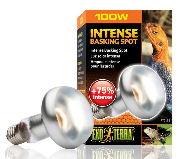 Exo Terra® Intense Basking Spot