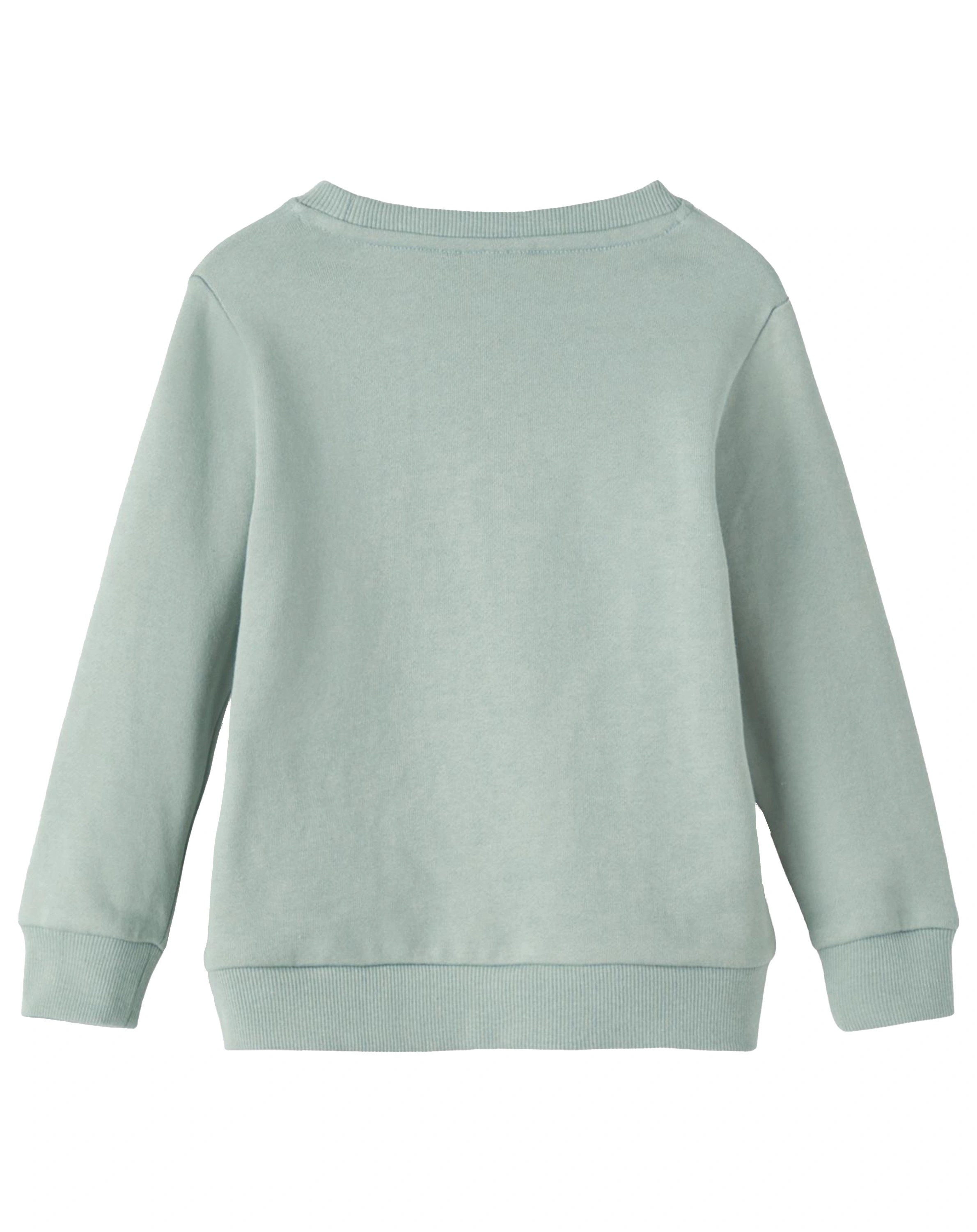 Sweatshirt NMMORM LIGHT in iceberg green