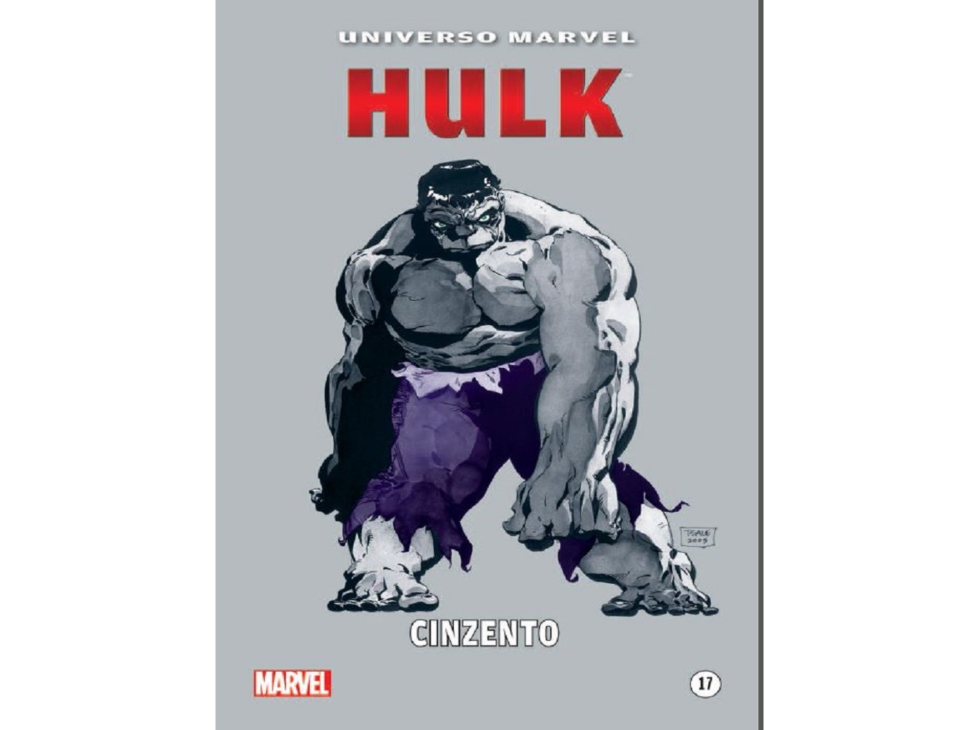 LIVRO HULK - CINZENTO