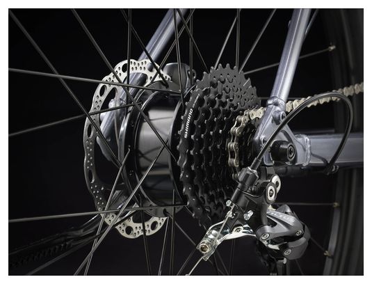Vélo de Fitness Électrique Trek Dual Sport  2 Stagger Shimano Altus 9V 250 Wh 650 mm Gris