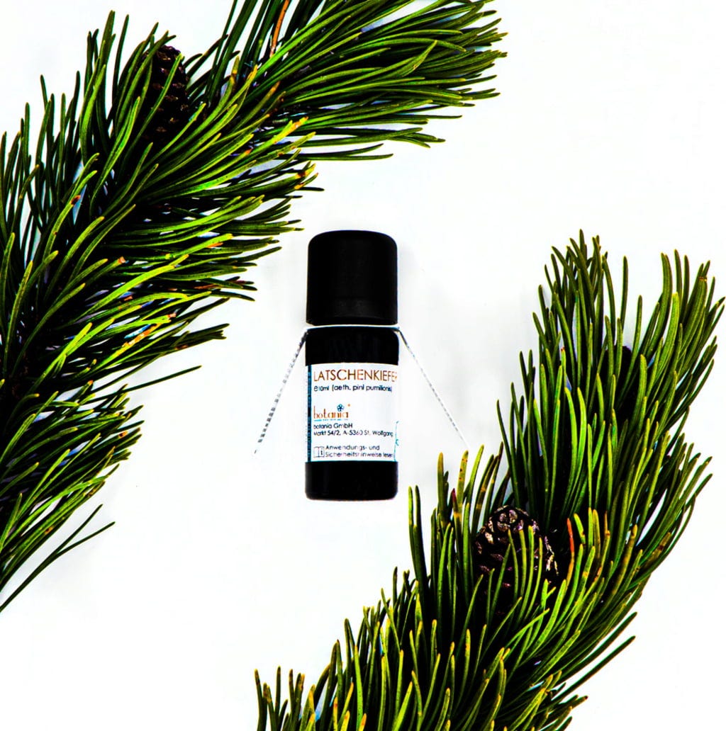 botania  Latschenkieferöl Premium, 10 ml