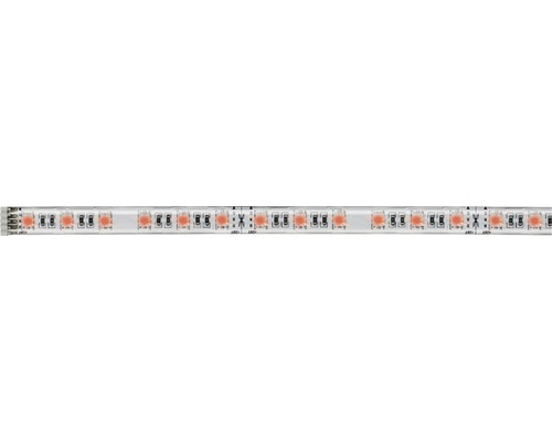 MaxLED 500 RGBW Strip 1 m 386 lm warm wit 60 LED's Uitbreiding op basisset 24V Smart Home compatibel na verlenging