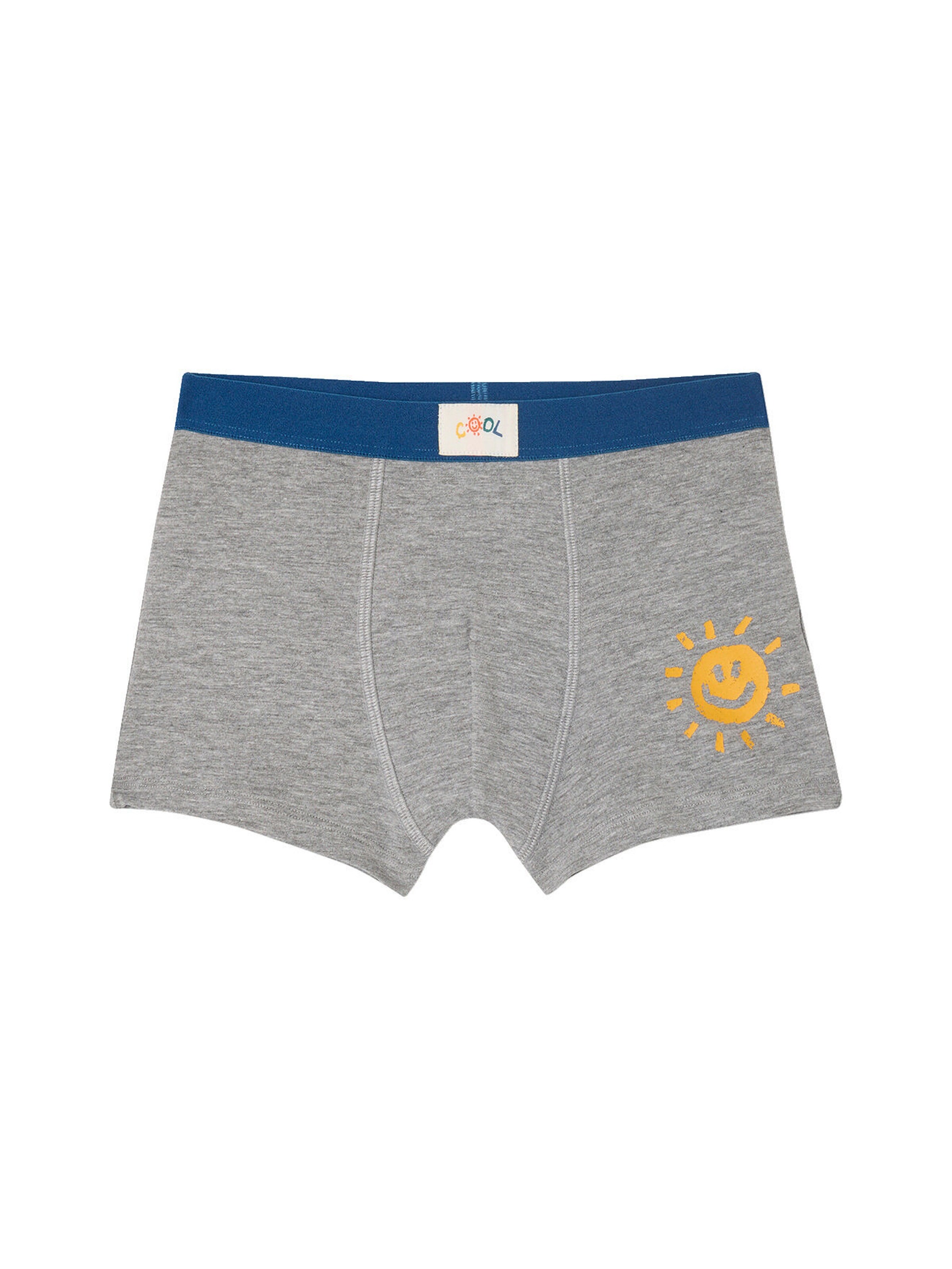 Vertbaudet Bio-Kollektion: 5er-Pack Jungen Stretch-Boxershorts COOL königsblau