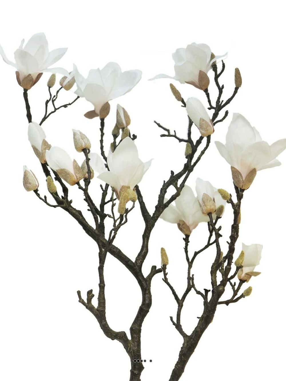 Fleurs de magnolia artificiel en branche, h 128 cm rose-crème - best - couleur: