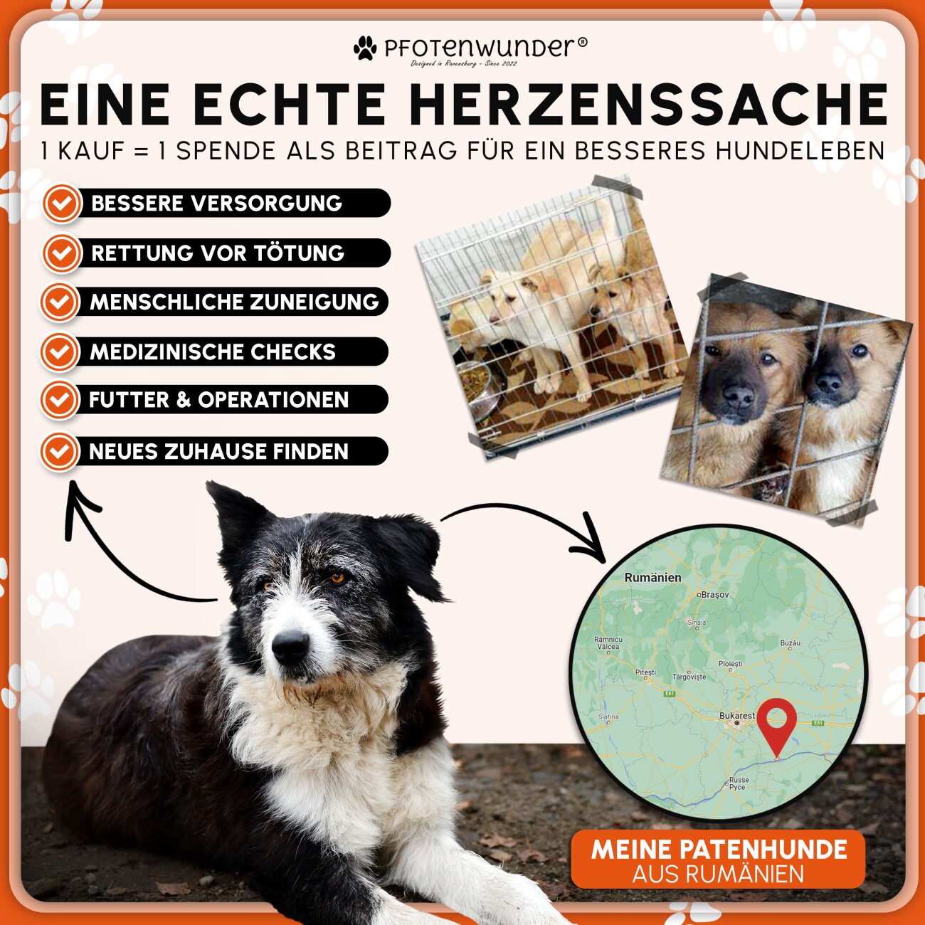 PfotenWunder® Hundekäfig klappbar 122*75.5*84cm, Hundetransportkäfig mit 2 Türen + 1 Abdeckung & 1 Trainingsbuch | Tiertransportbox, Hundetransportbox, Hundebox Auto, Drahtkäfig faltbar mit Bodenschale