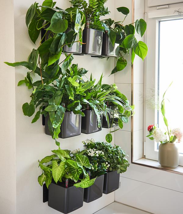 LECHUZA® CUBE Glossy Green Wall Home Kit, ca.