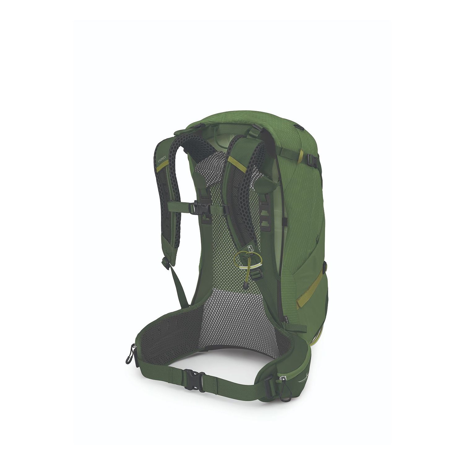 Osprey Stratos 34 seaweed/matcha green