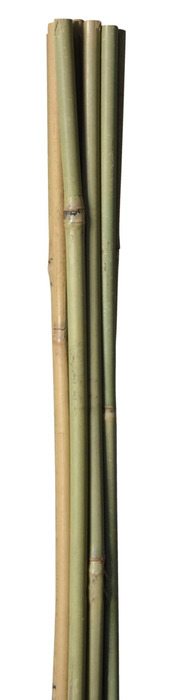 Bambuspinde 150 cm 3 stk.