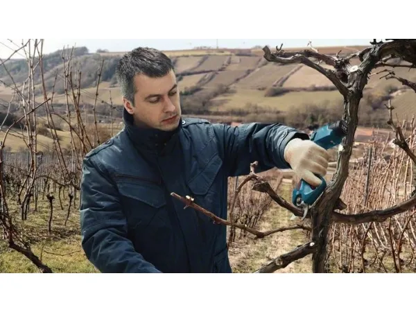 Bosch BOSCH.SEKATOR 12V 25mm PRO PRUNER SOLO B06019K1020 - SOLO