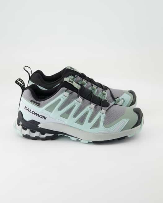 Salomon XA Pro 3D V9 GTX W Sportschuhe in Grün