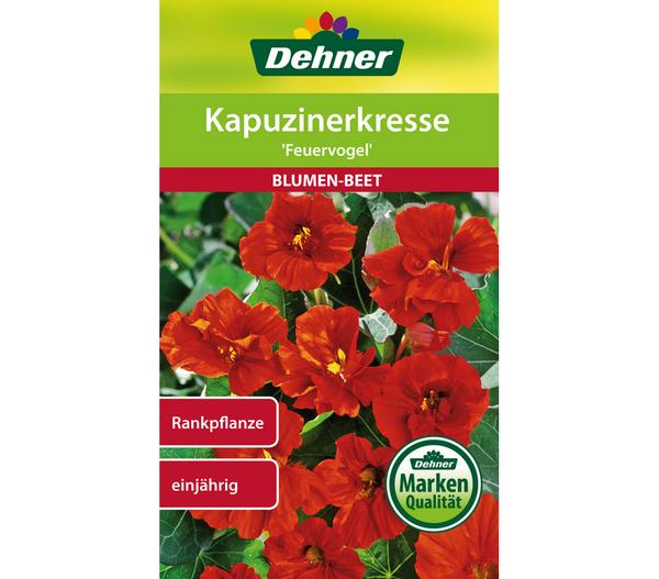 Dehner Samen Kapuzinerkresse 'Feuervogel'