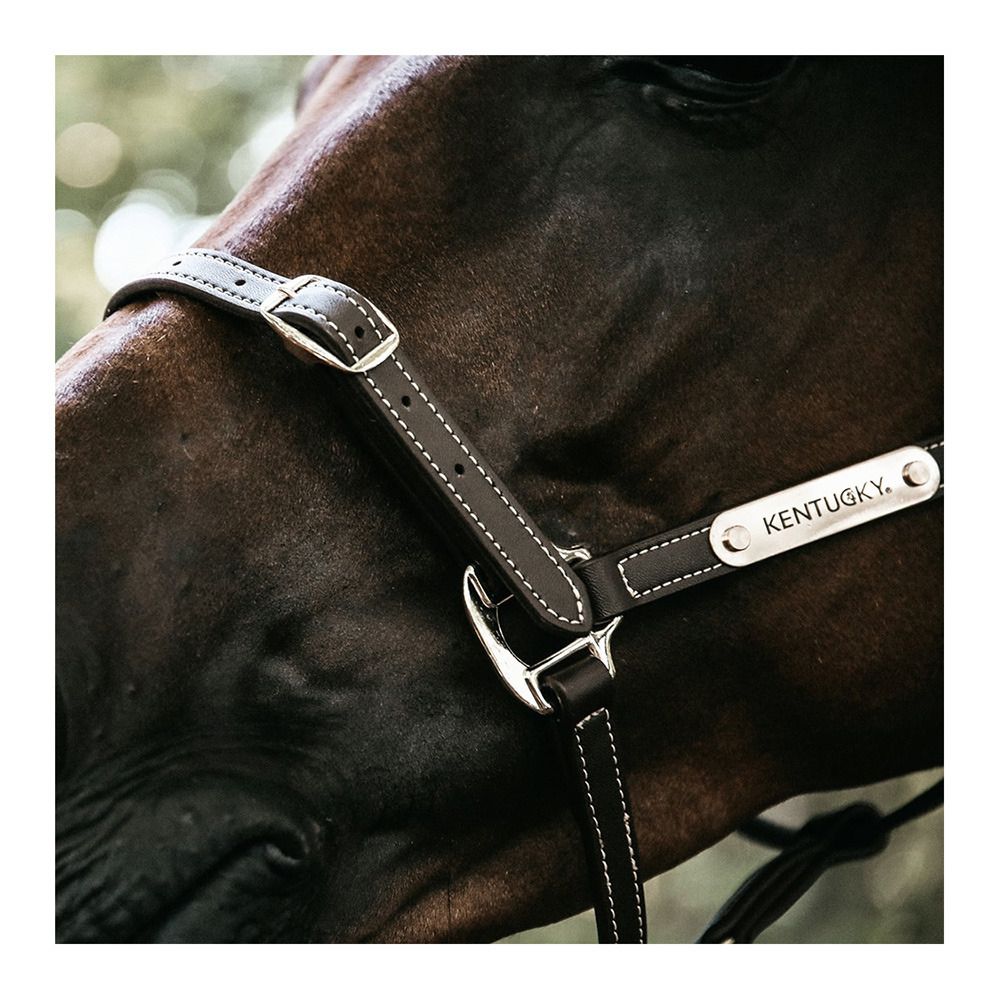 Kentucky FLEXIBLE - Licol brown