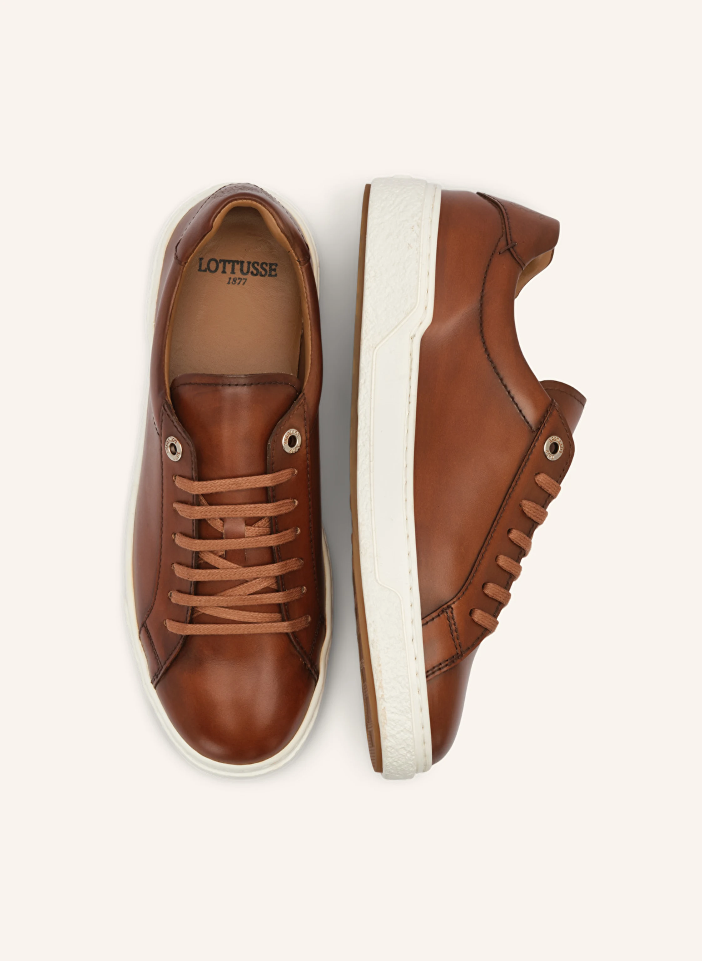 LOTTUSSE SneakerTORINO
