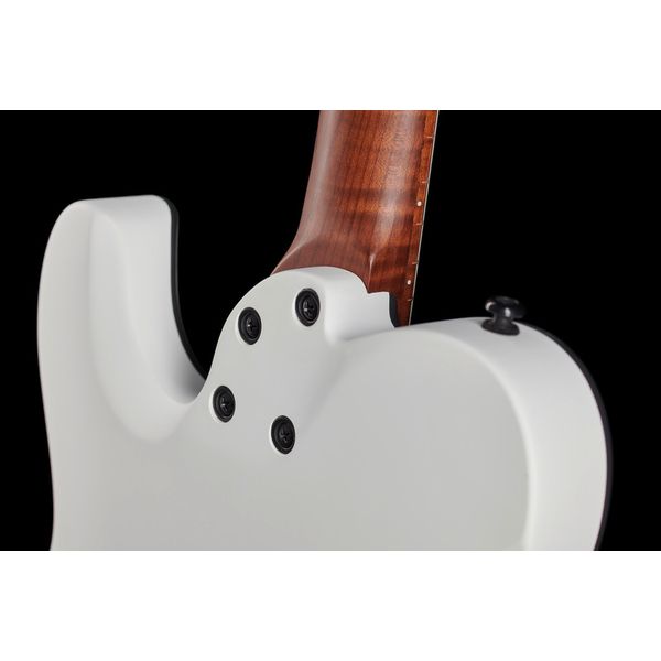 Harley Benton Fusion-T HH Roasted SW Bundle