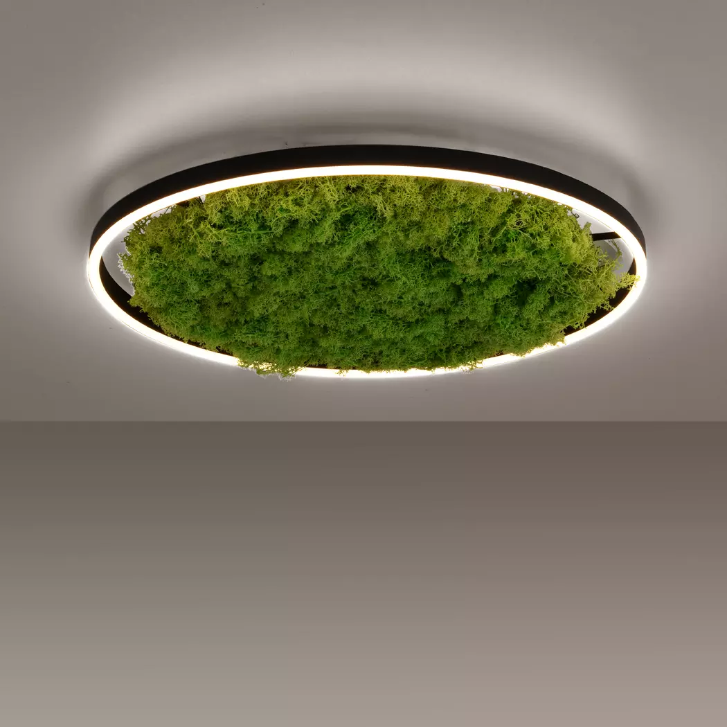 LED-Deckenleuchte Green Ritu