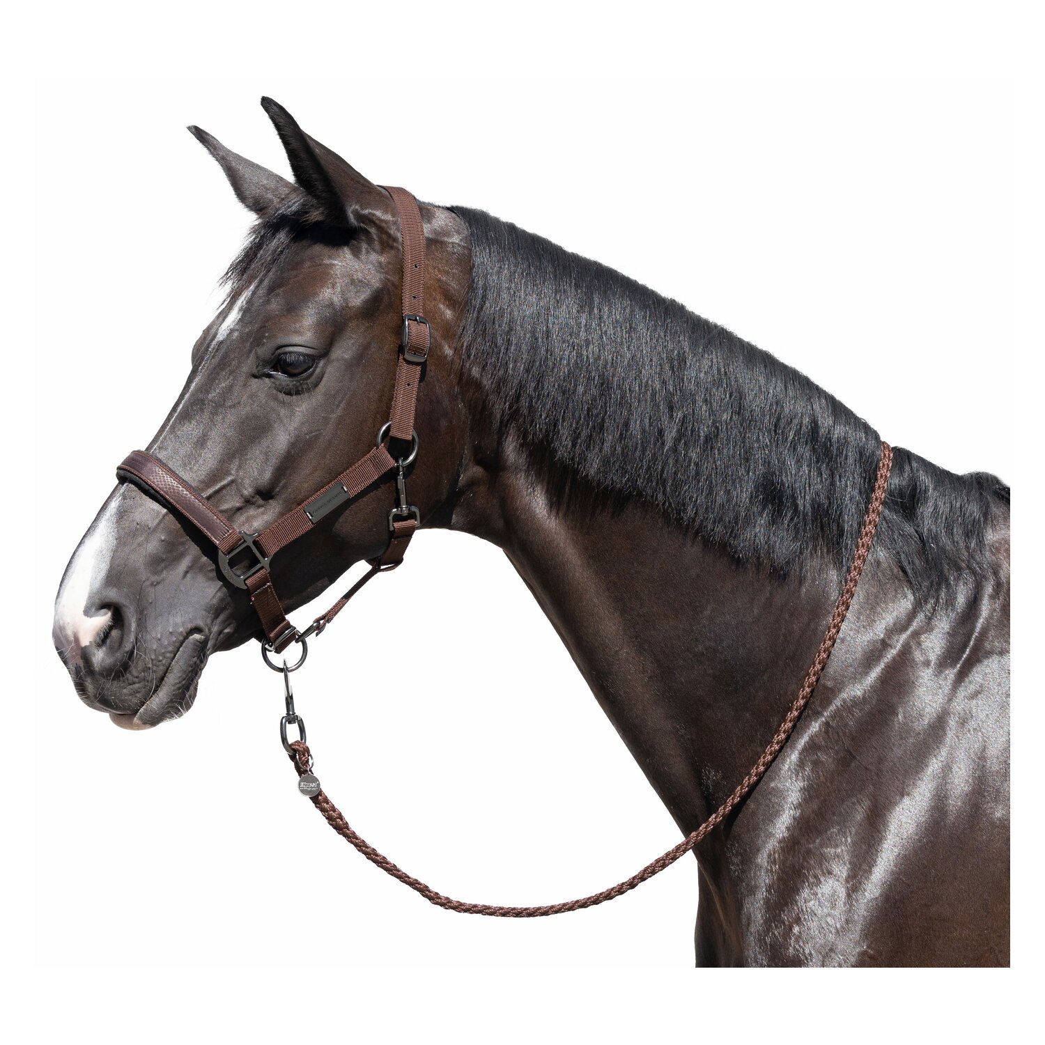 Cheval de Luxe Halfter Limoges  - chocolate - Vollblut