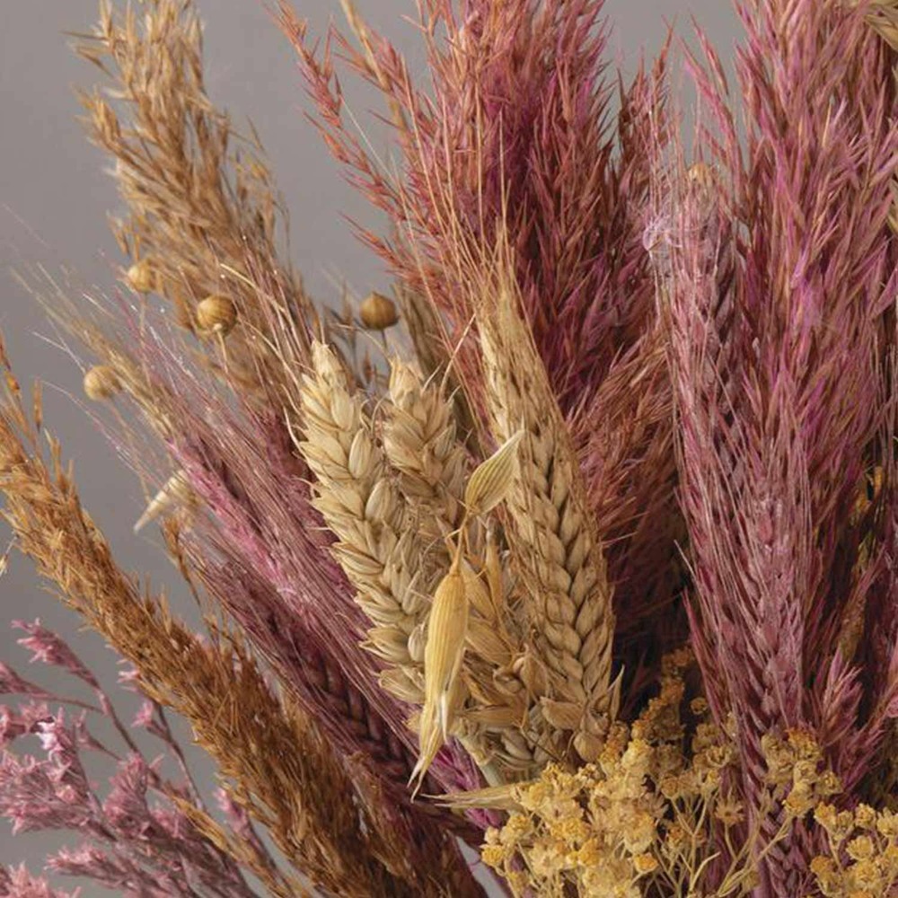 Assortiment de fleurs séchées