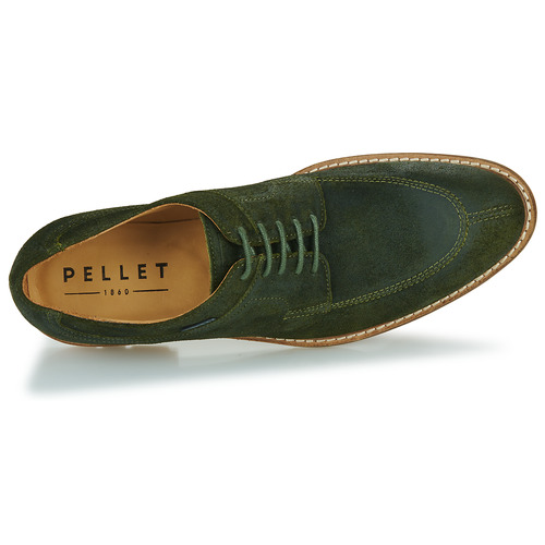Pellet - MAGELLAN - Velours oiled olive