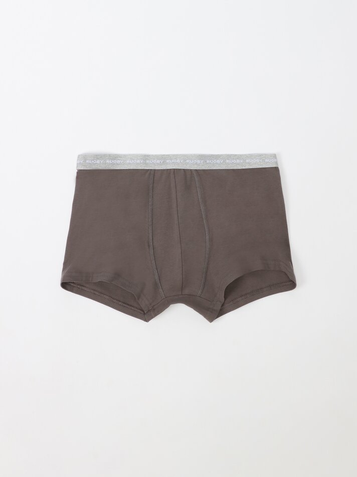 Pacote com 5 cuecas boxer básicas - Variadas