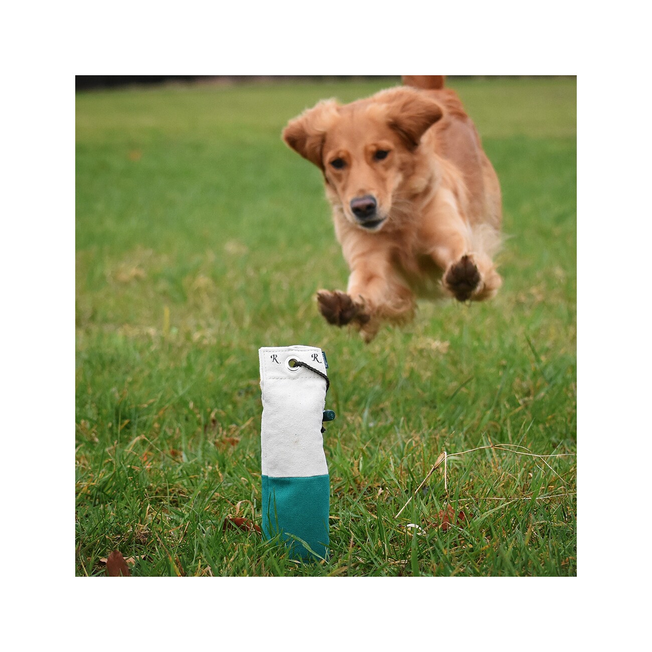 ROMNEYS Dummy Stand-Up 500g