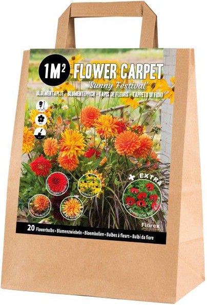 Florex bloembollen 1M² Bloementapijt Sunny festival 20 stuks