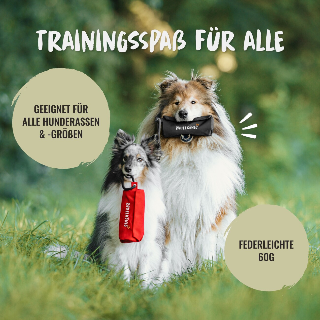 Rudelkönig Futterbeutel - Snackbeutel für Hundetraining schwarz