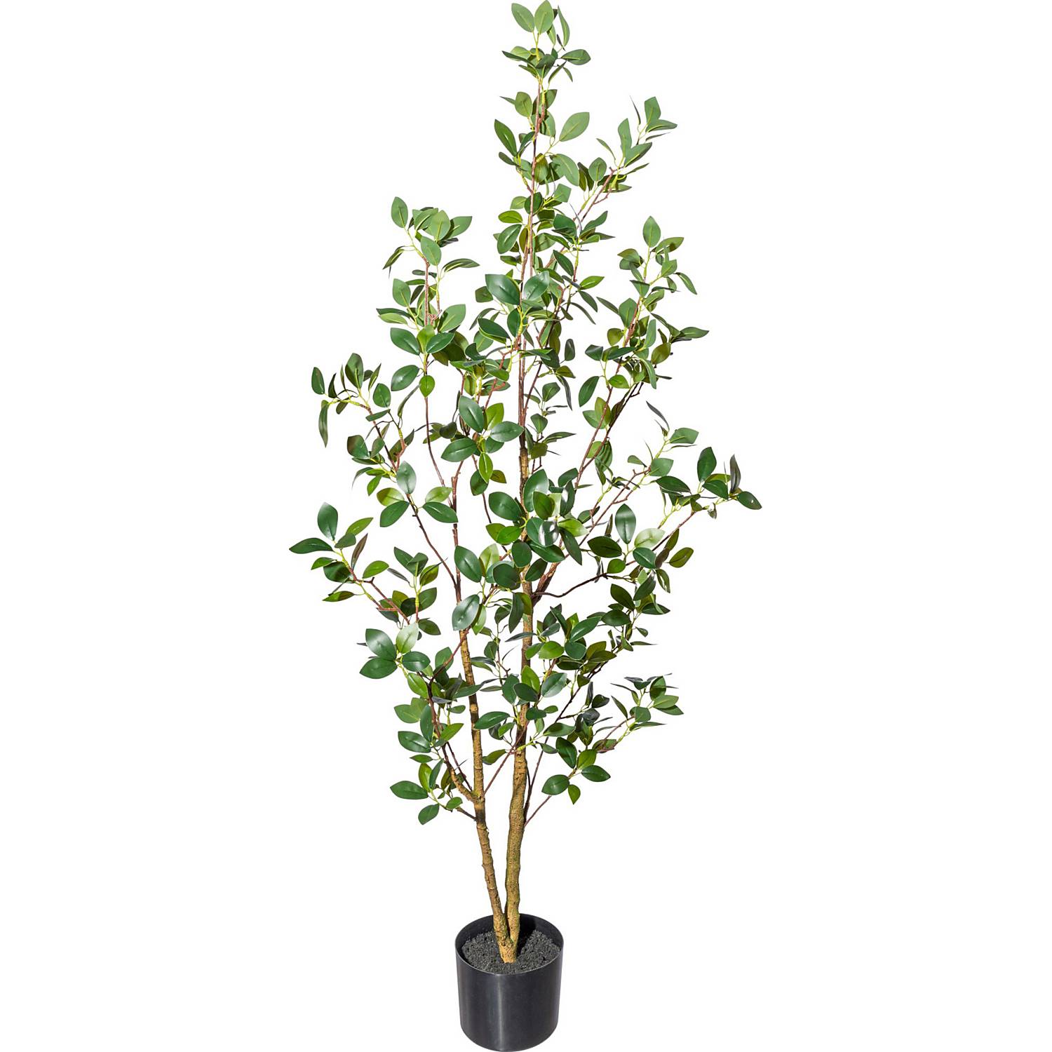 Kunstpflanze Ficus Ginseng