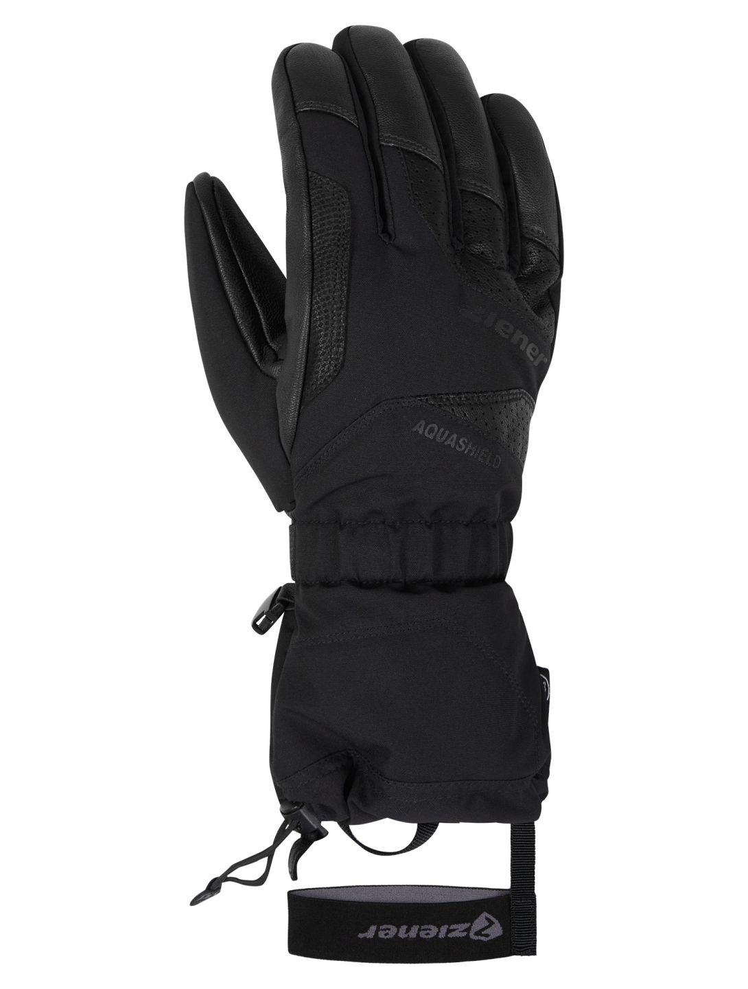 Gaiku AS® AW skihandschoenen heren
