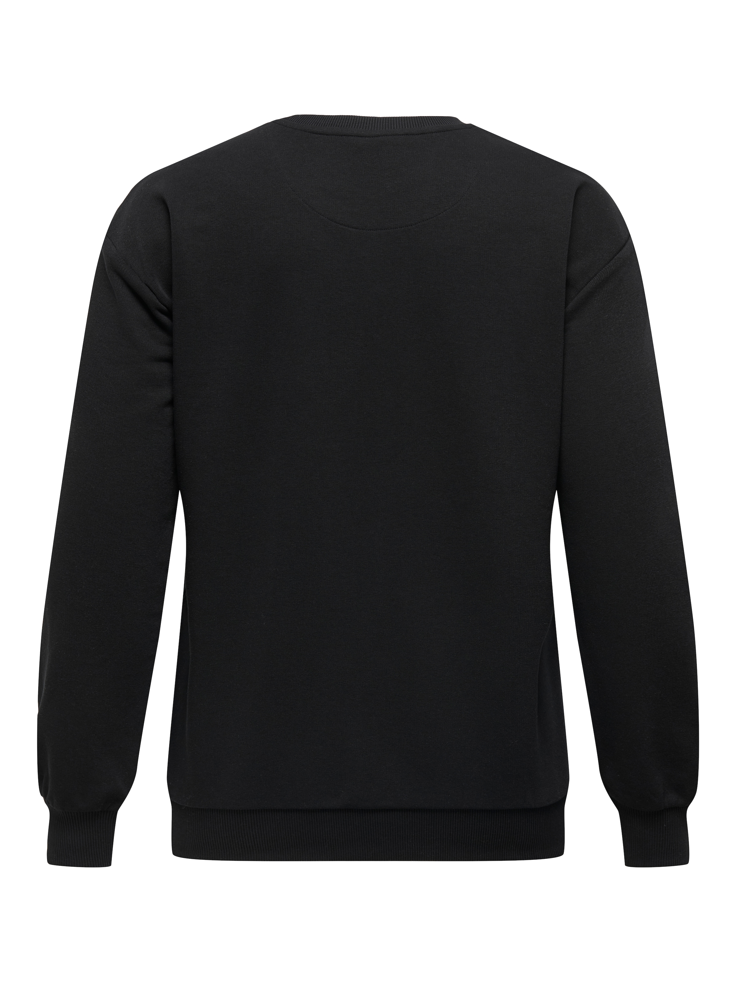 ONLY CARMAKOMA Sweatshirt »CARROLLI L/S O-NECK SWEAT LC JRS«
