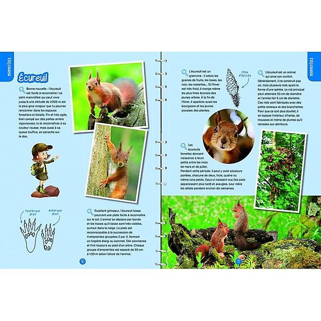 PETITES BETES ET PLANTES DES MONTAGNES