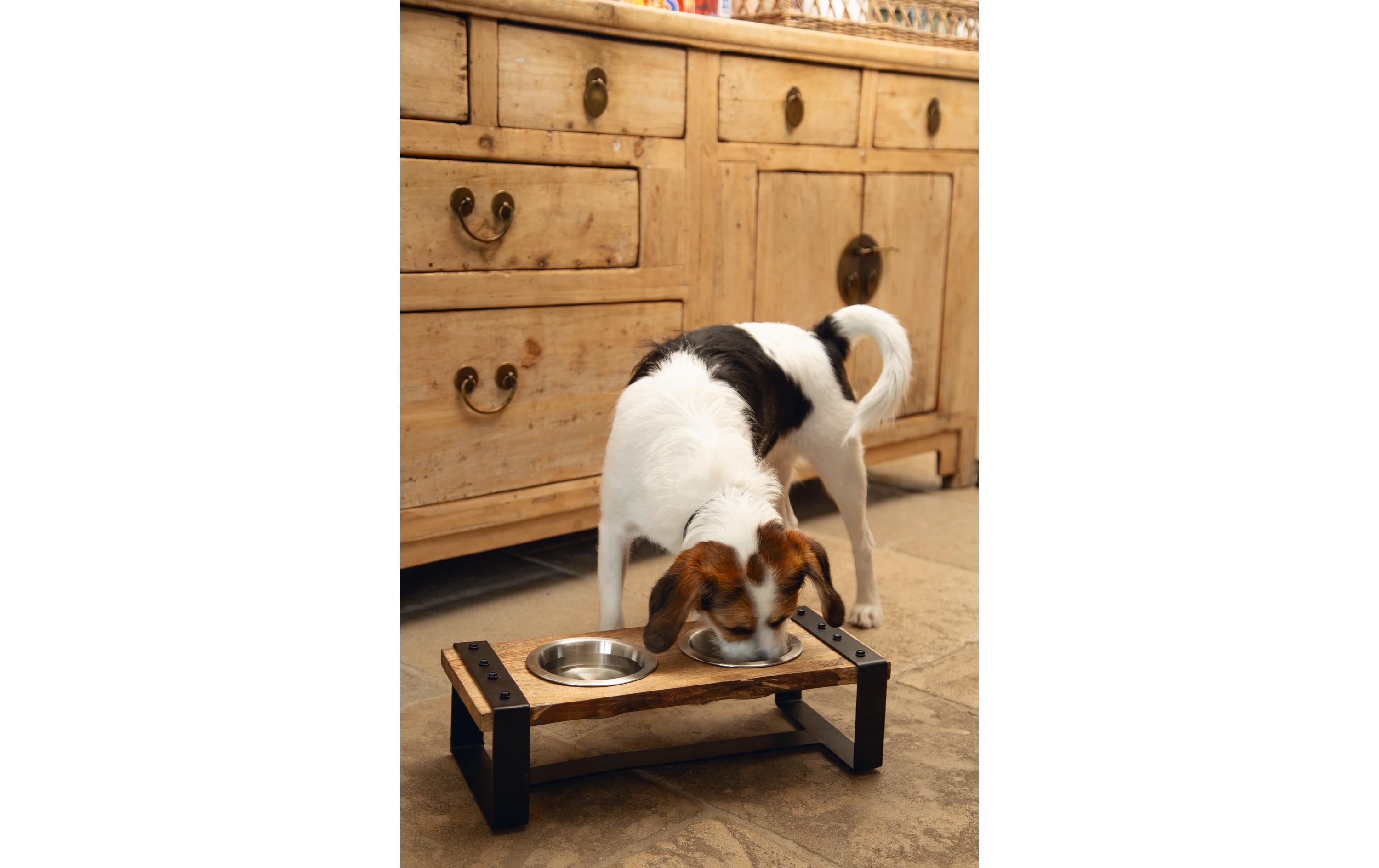 Napf-Set Karinto Braun, 2 x 0.65 lFutternapf/Wassernapf für Hunde, 1.3 l