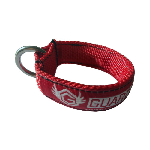 Safety Loop | Guardian