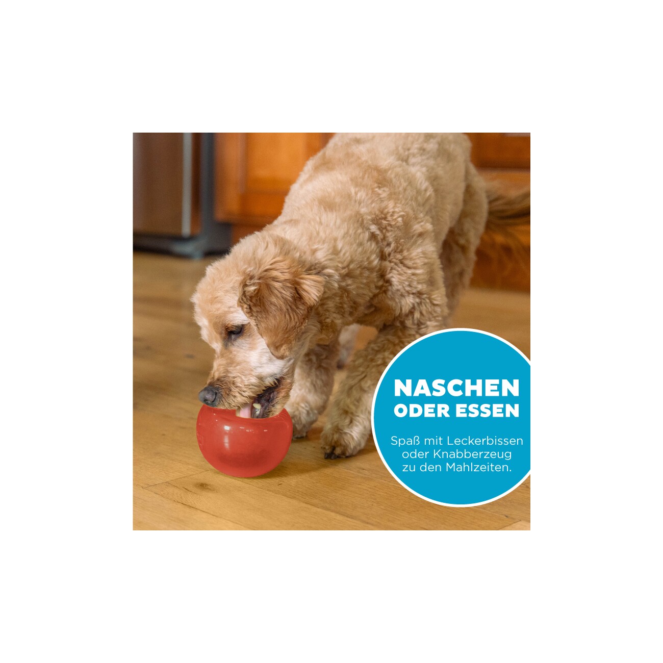 Planet Dog Lil' Snoop Outward Hound Hundespielzeug
