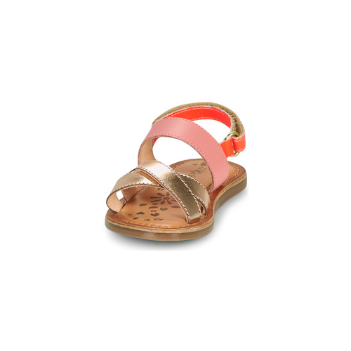 Kickers - DYACROSS - Rose