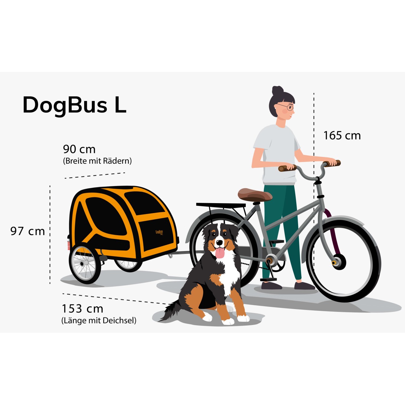 TrendPet DogBus gefederter Fahrradanhänger für Hunde