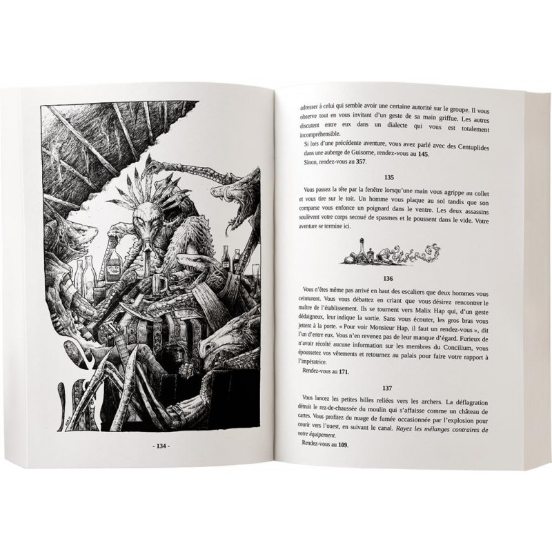 Le sire aux tristes couleurs : Chroniques d'Hamalron 3