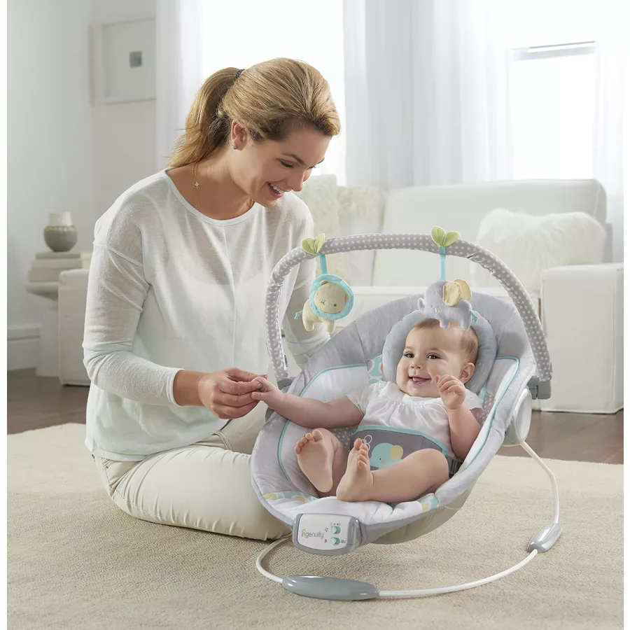 Ingenuity Schaukelstuhl, Soothing Bouncer™ - Morrison