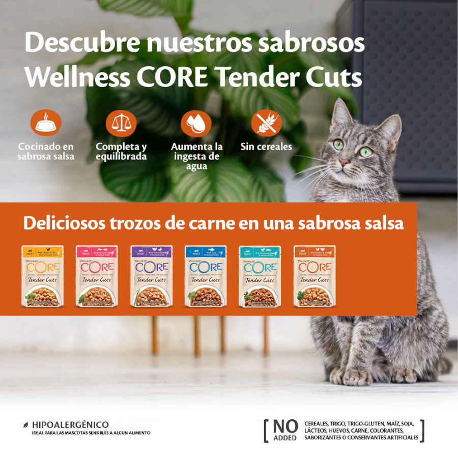 Sachê de 85g de atum Wellness Core Tender Cuts em molho para gatos