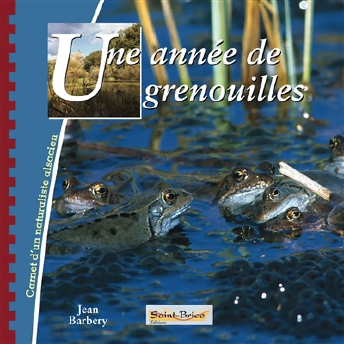 Une année de grenouilles · Occasion