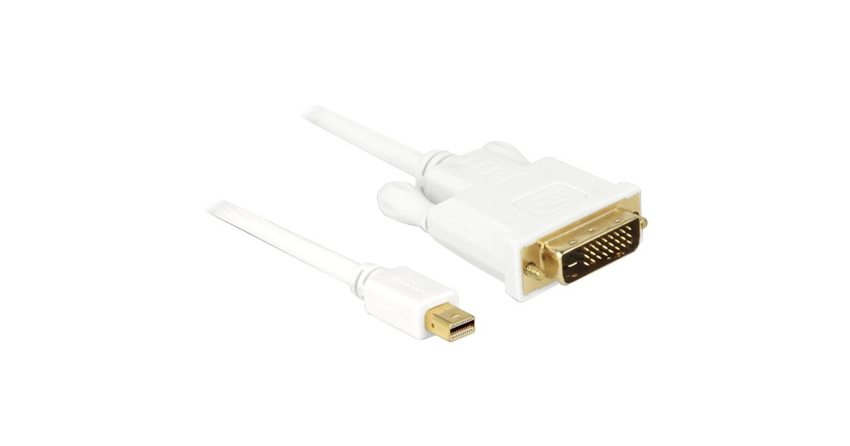 DeLOCKMini DisplayPort > DVI (24+1) adapter  (Wit, 1 meter)