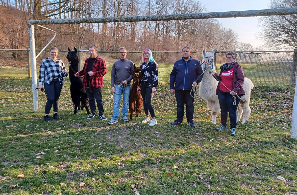 Alpaka Auszeit Schönau-Berzdorf
