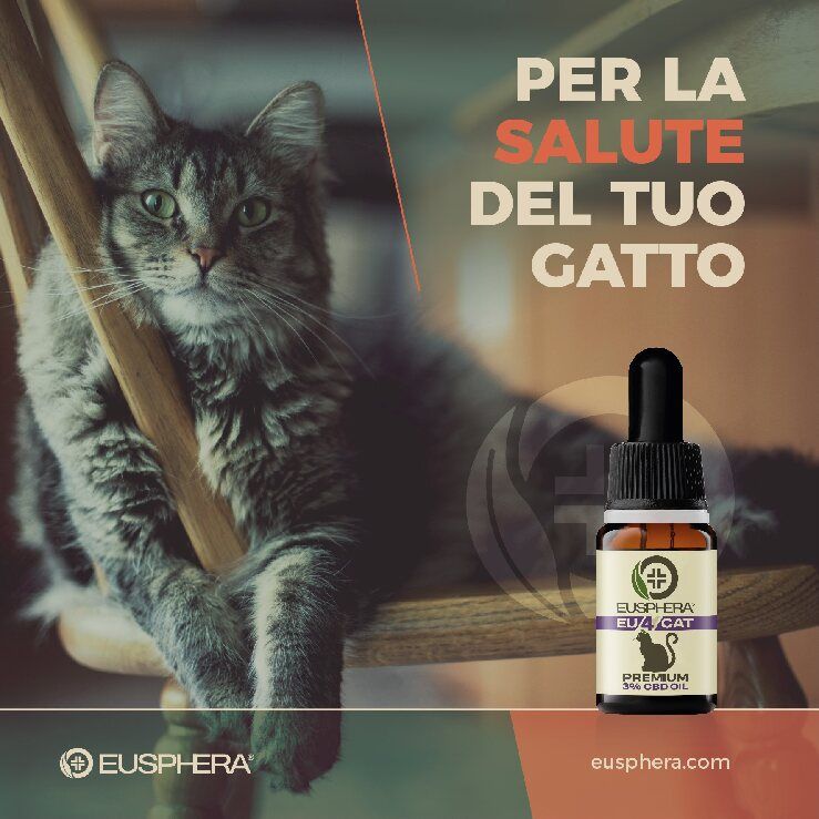 CBD-Öl für das Wohlbefinden von Katzen mit beruhigender Wirkung - EU4CAT - Eusphera