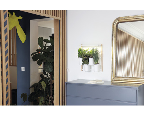Binnentuin smart Prêt à Pousser Modulo 2 kunststof wit incl. 4 potten en 4 capsules