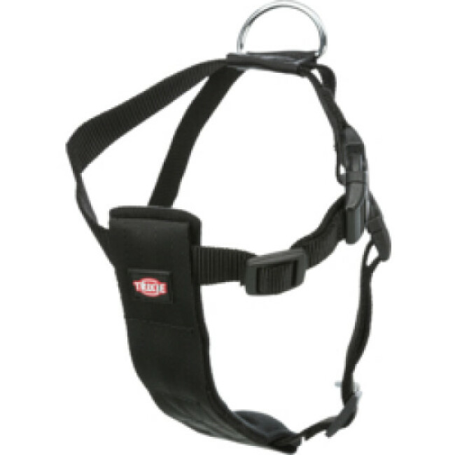 Ceinture de sécurité Friends on tour pour chiens