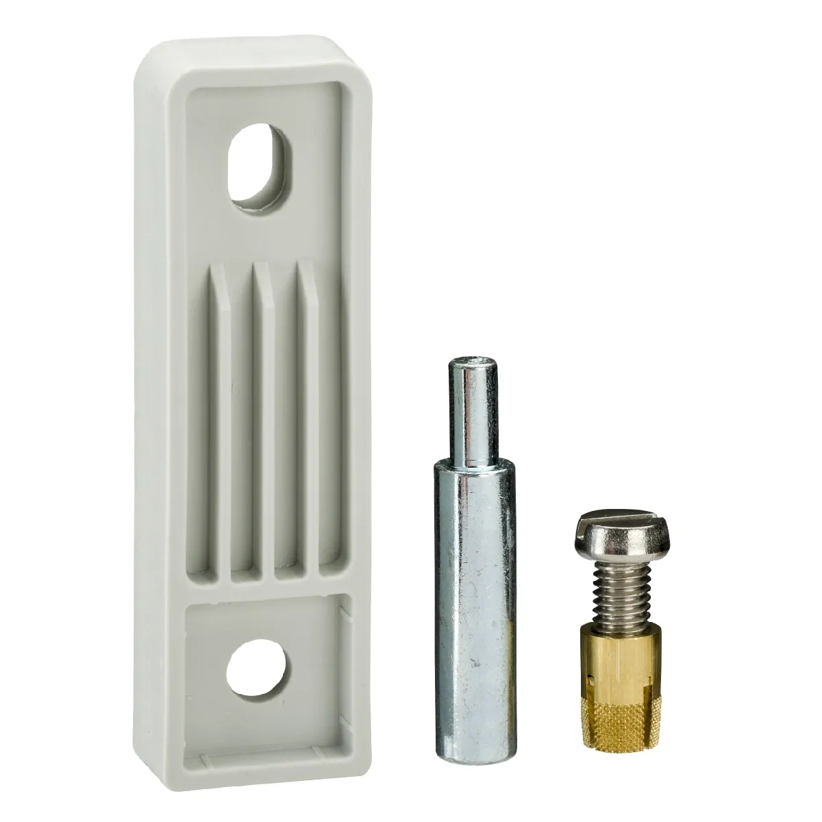Schneider Electric Fixations NSYPFXPLM