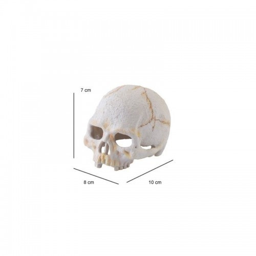 Santuário de Primatas e Dinossauros Exo-Terra