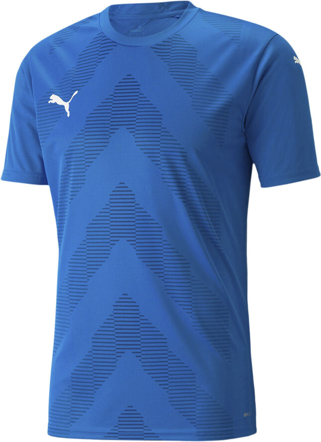 Puma Teamglory Jersey - Trænings T-shirt Blå