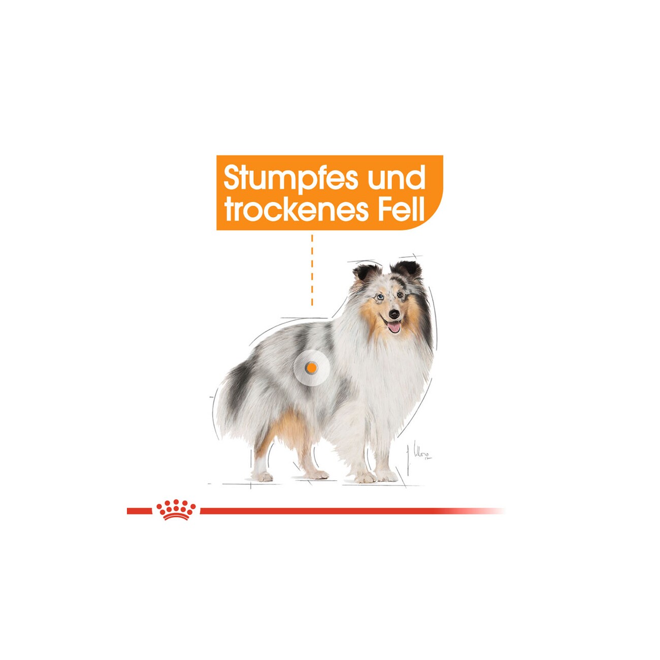 ROYAL CANIN Coat Care Mini 3 kg
